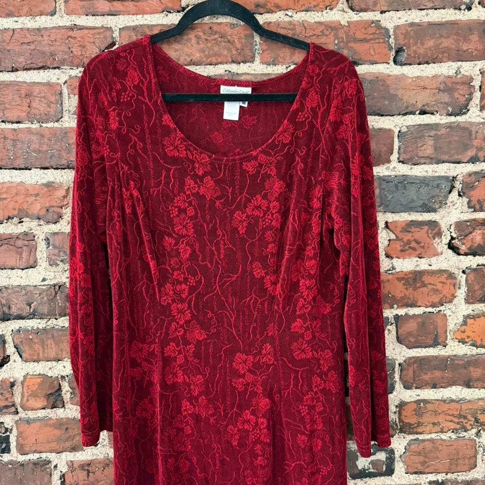 Elegant Red Long Sleeve Dress - Picture 2 of 6